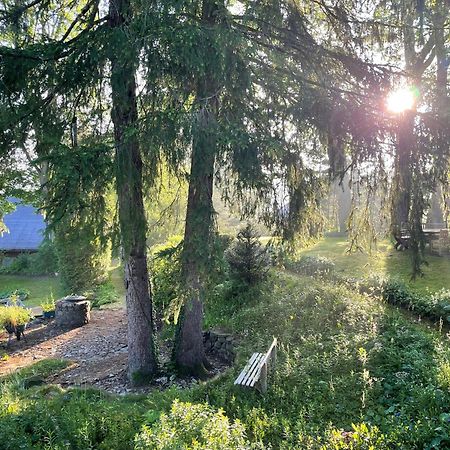 Liebevoll eingerichtetes Ferienhaus mit großem Garten Clausthal-Zellerfeld Exterior foto
