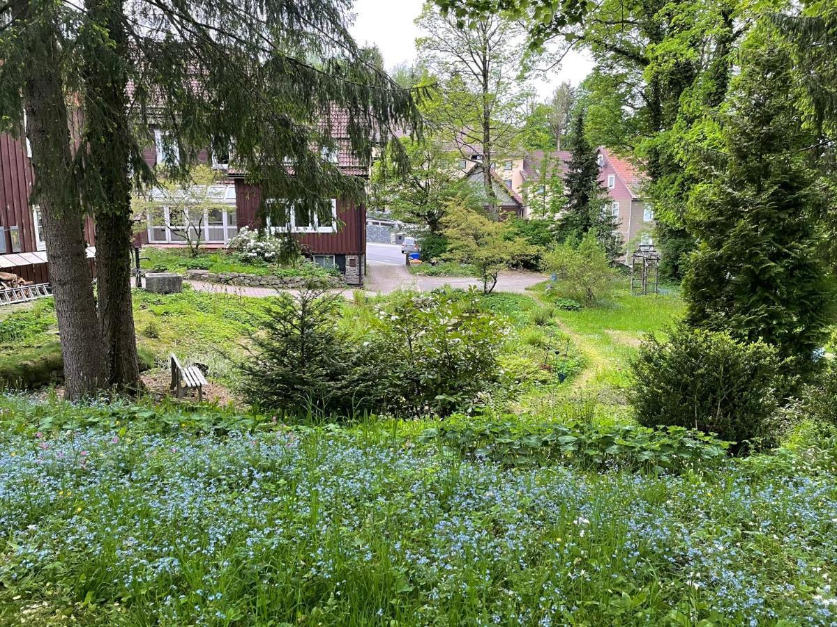 Liebevoll eingerichtetes Ferienhaus mit großem Garten Clausthal-Zellerfeld Exterior foto