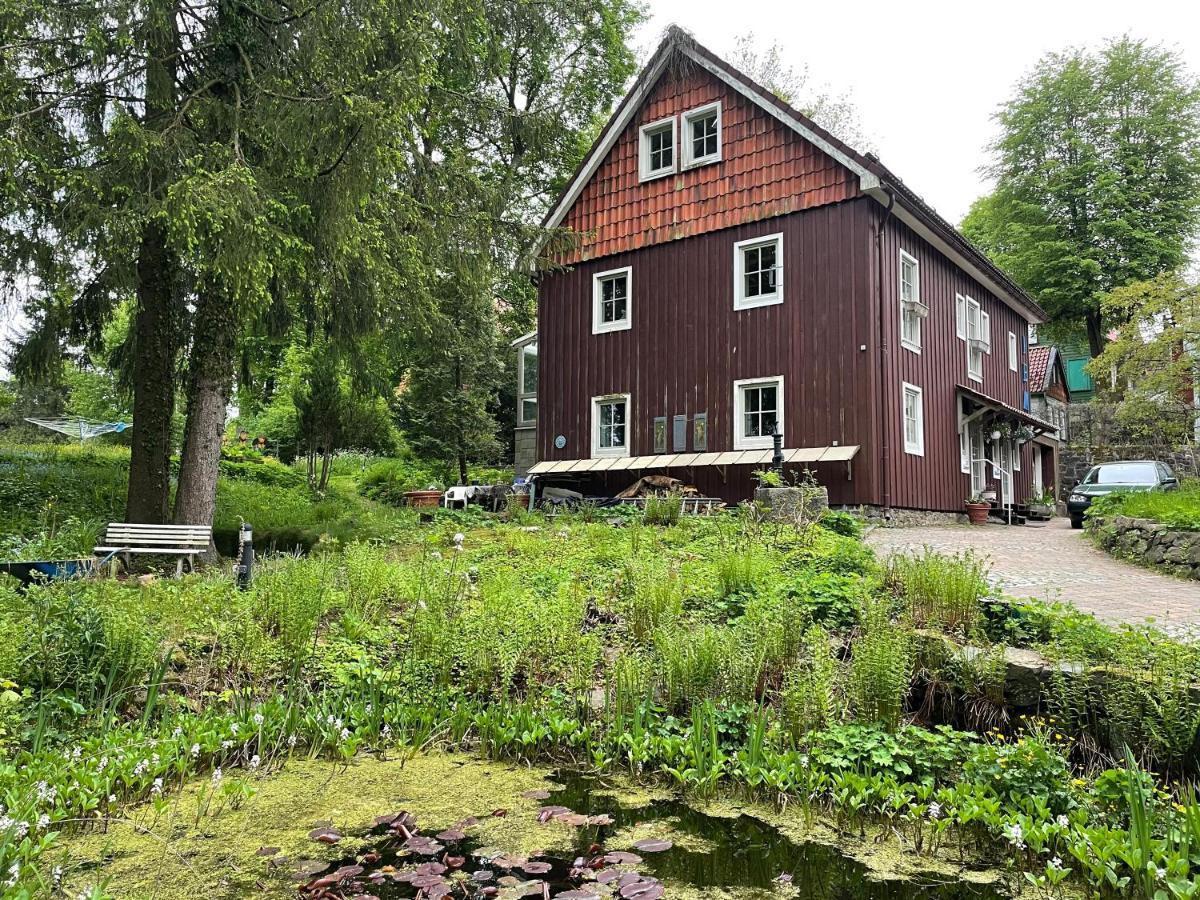Liebevoll eingerichtetes Ferienhaus mit großem Garten Clausthal-Zellerfeld Exterior foto