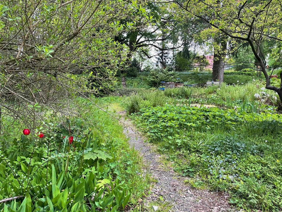 Liebevoll eingerichtetes Ferienhaus mit großem Garten Clausthal-Zellerfeld Exterior foto