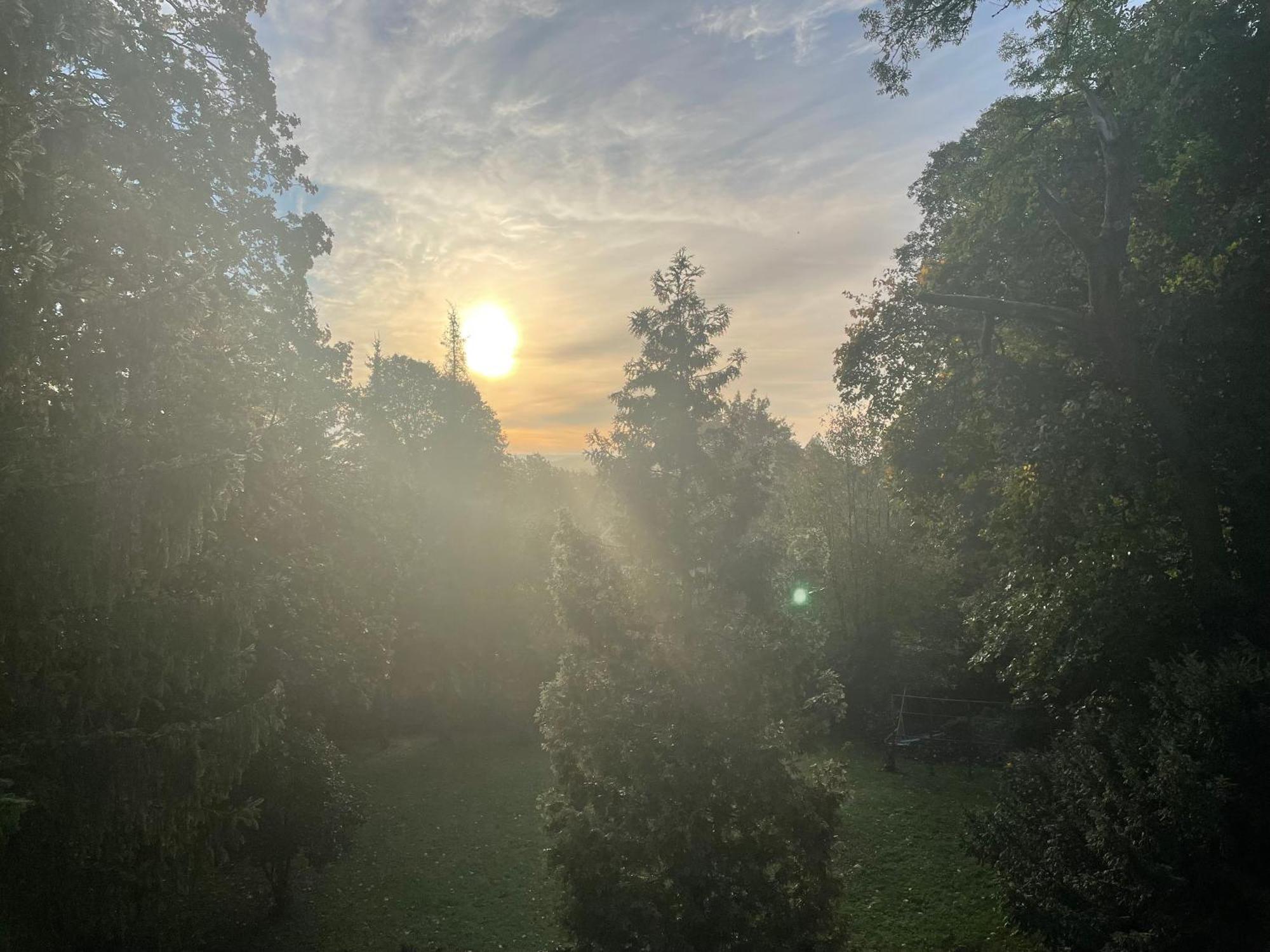Liebevoll eingerichtetes Ferienhaus mit großem Garten Clausthal-Zellerfeld Exterior foto
