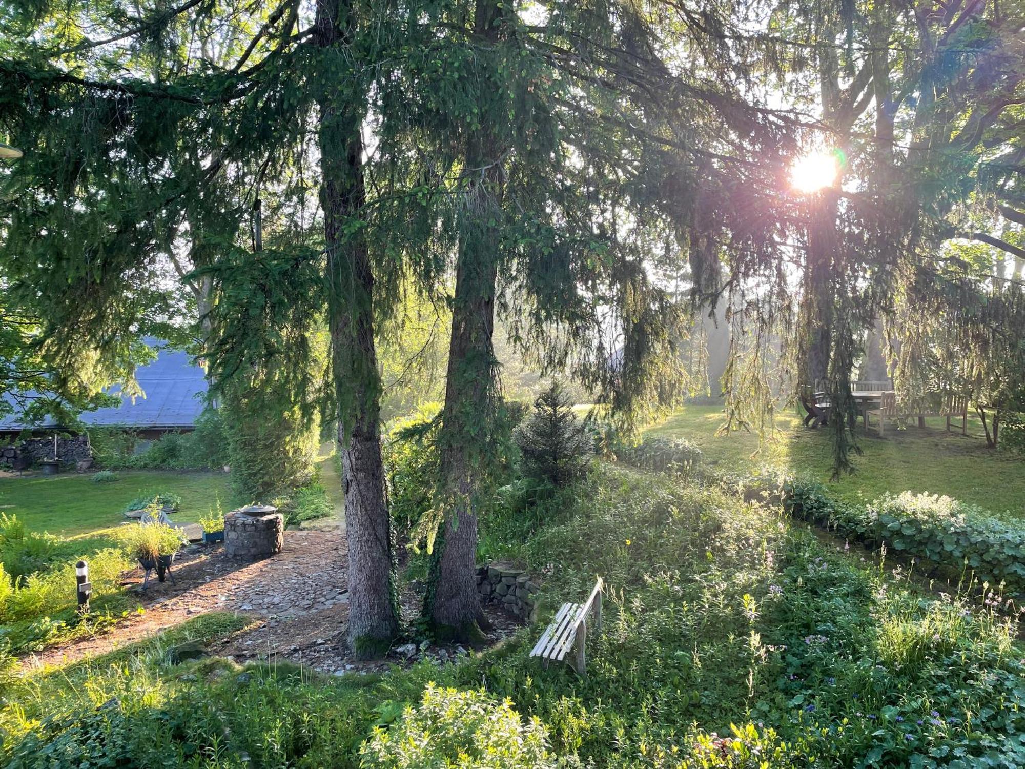 Liebevoll eingerichtetes Ferienhaus mit großem Garten Clausthal-Zellerfeld Exterior foto